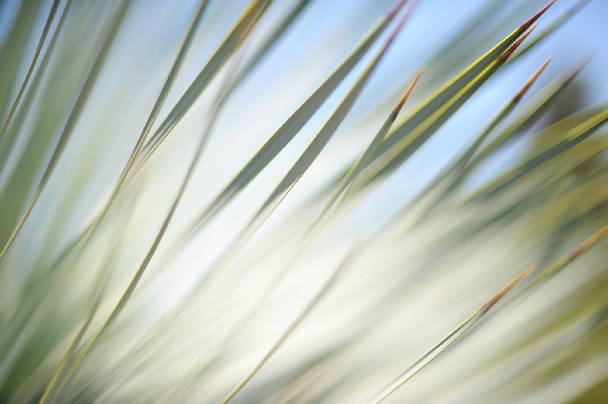Static and Motion, 2012-06-17-4344
