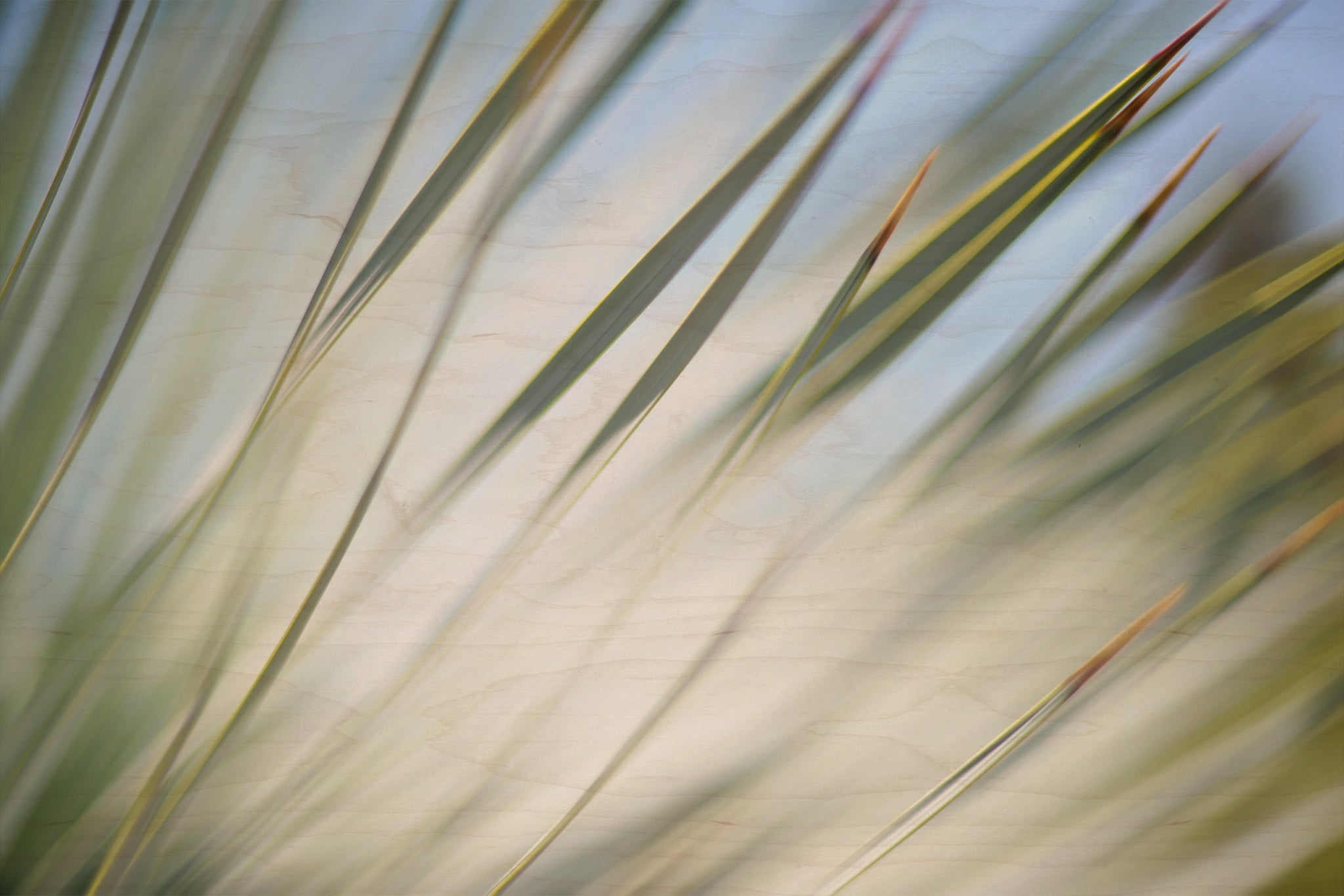 Static and Motion, 2012-06-17-4344
