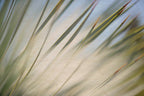 Static and Motion, 2012-06-17-4344