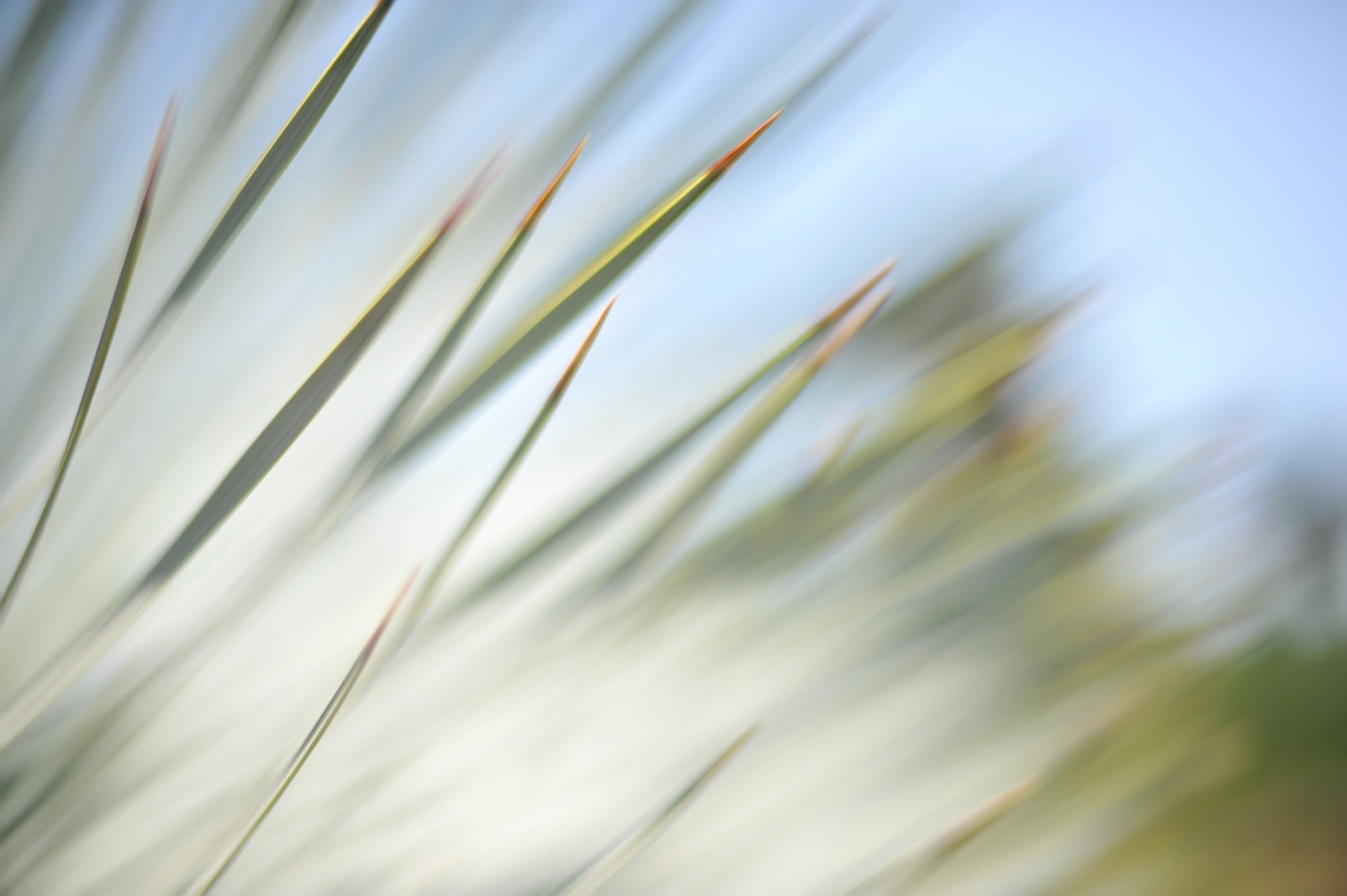 Static and Motion, 2012-06-17-4345