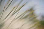 Static and Motion, 2012-06-17-4345