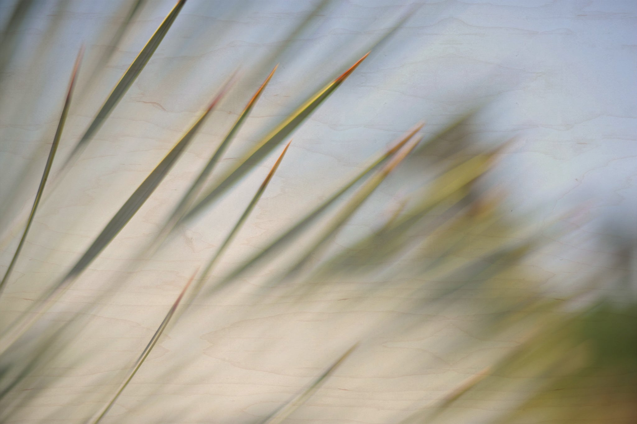Static and Motion, 2012-06-17-4345