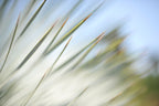 Static and Motion, 2012-06-17-4345