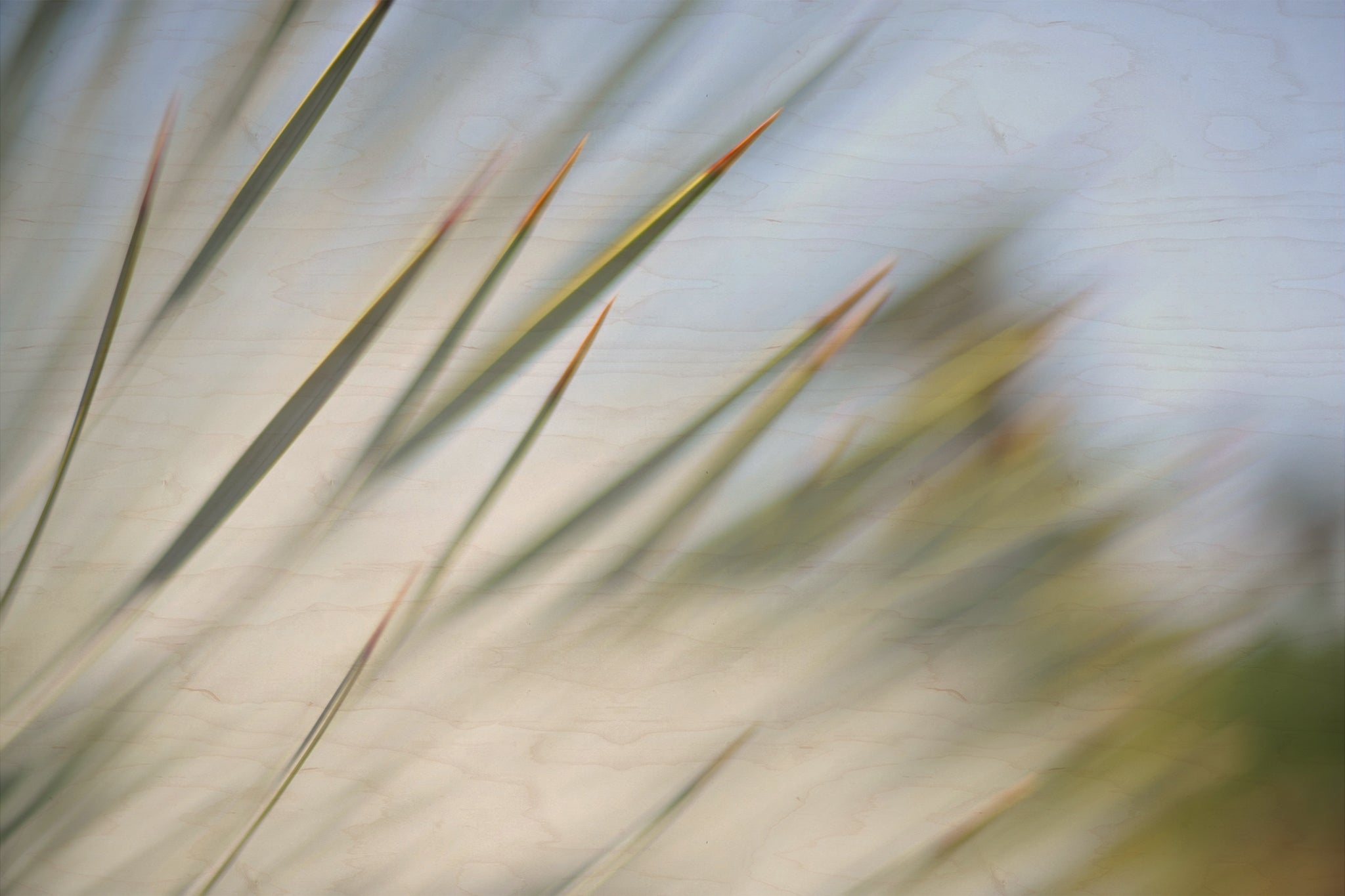 Static and Motion, 2012-06-17-4345