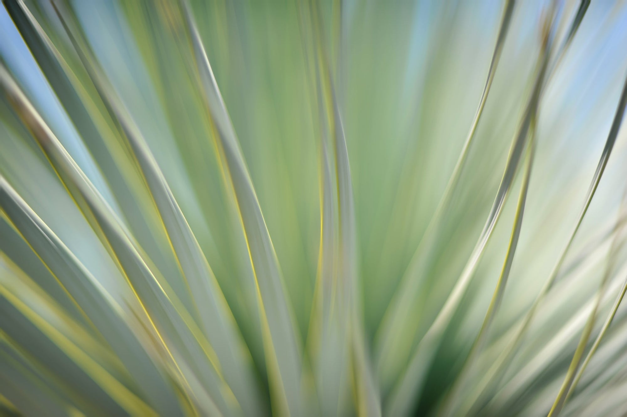 Static and Motion, 2012-06-17-4349