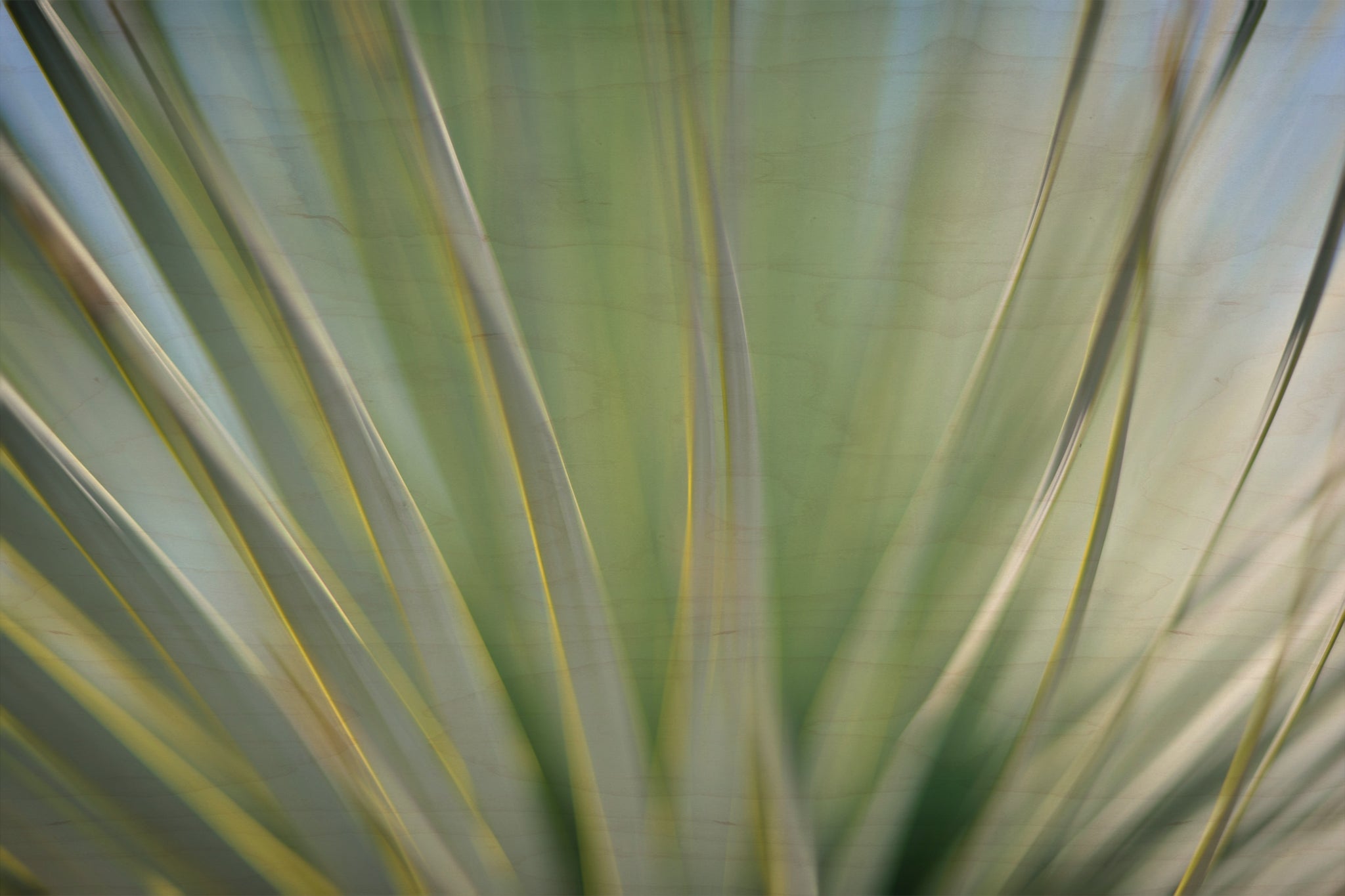 Static and Motion, 2012-06-17-4349