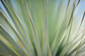 Static and Motion, 2012-06-17-4349
