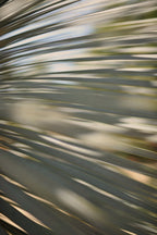 Static and Motion, 2012-06-17-4357