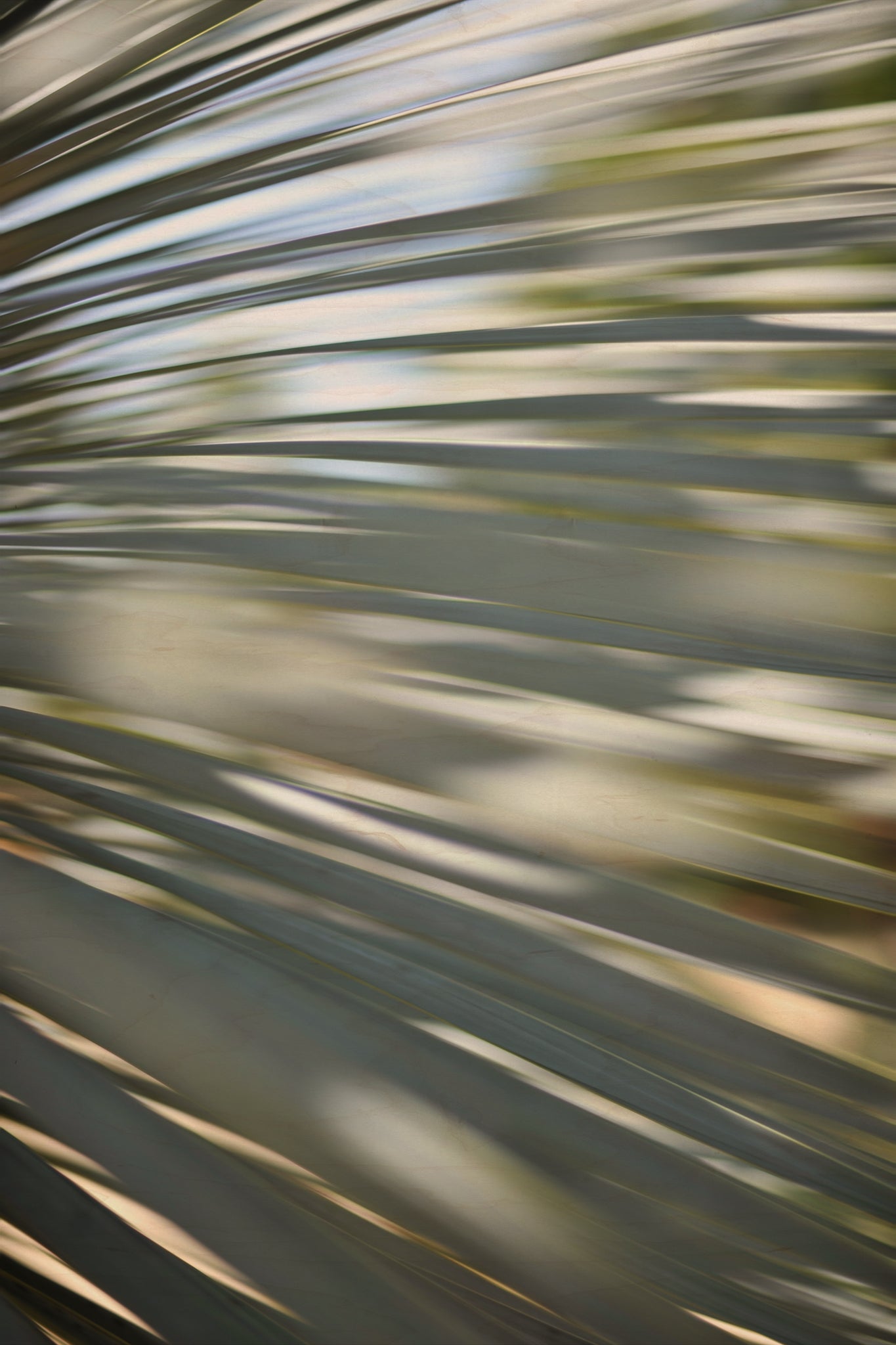Static and Motion, 2012-06-17-4357