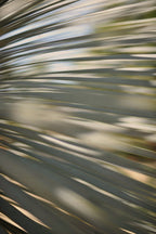 Static and Motion, 2012-06-17-4357