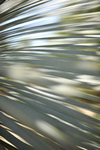 Static and Motion, 2012-06-17-4357