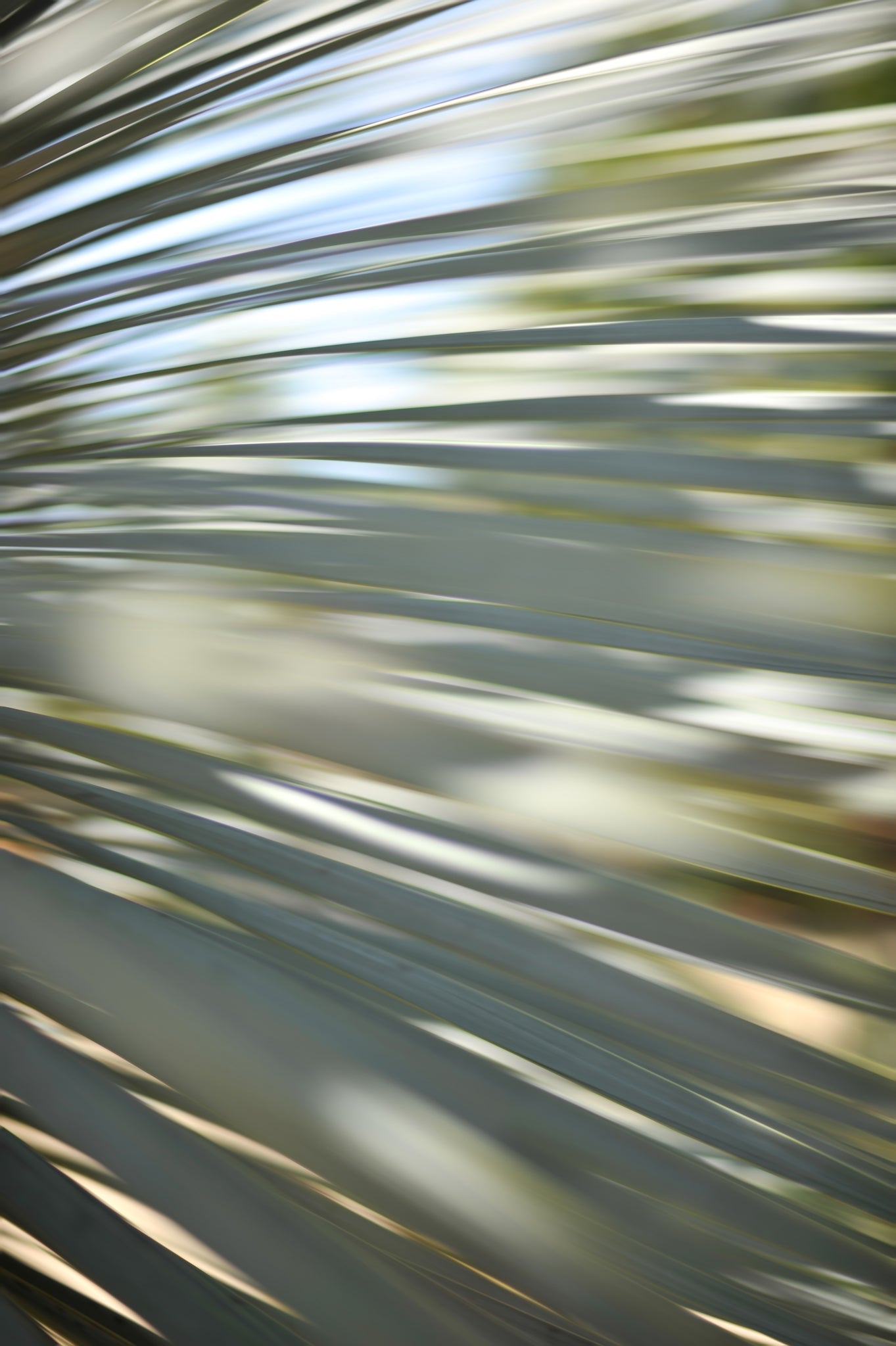 Static and Motion, 2012-06-17-4357