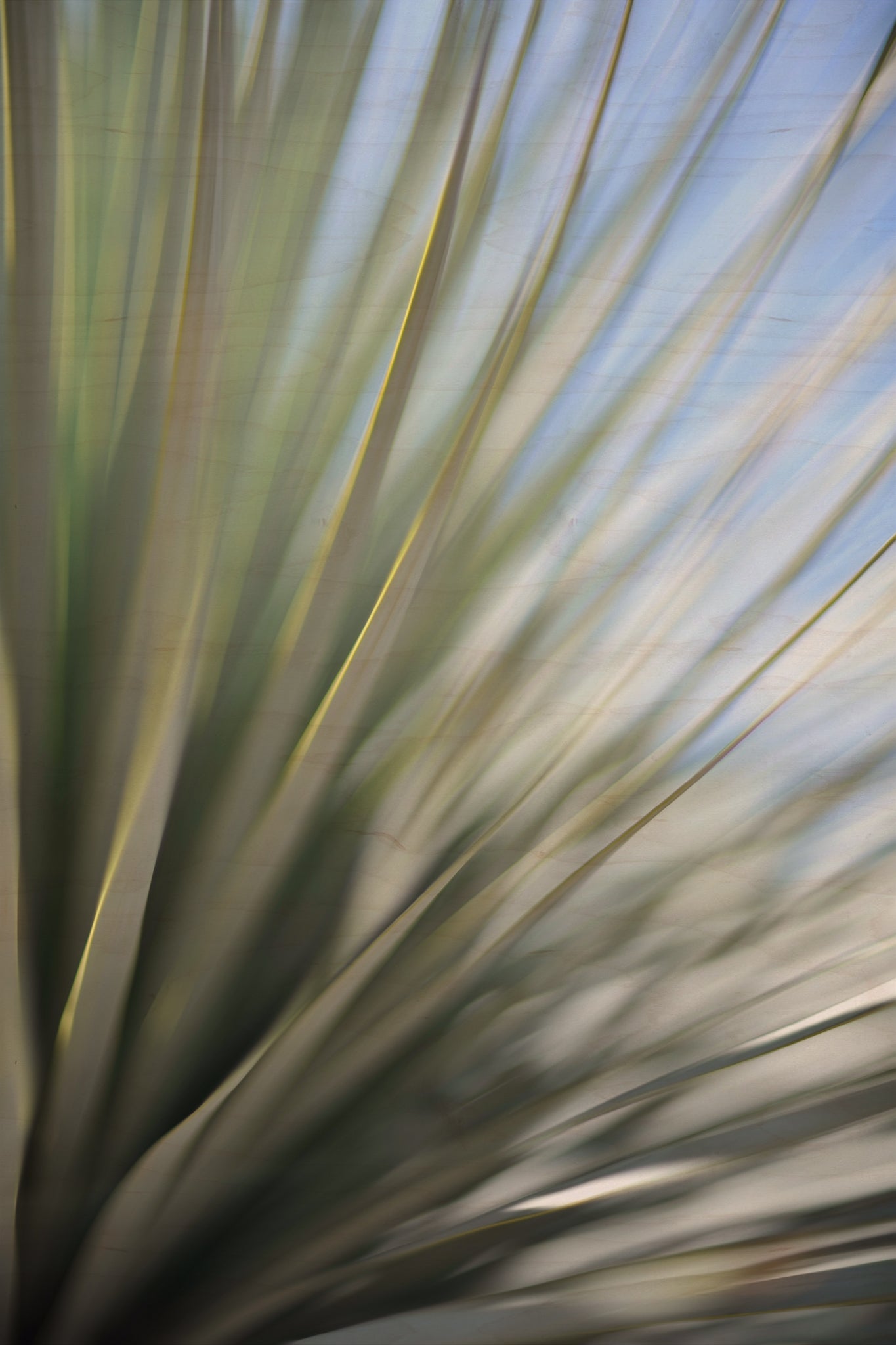 Static and Motion, 2012-06-17-4381