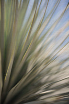 Static and Motion, 2012-06-17-4381