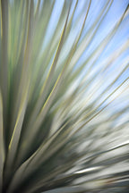 Static and Motion, 2012-06-17-4381