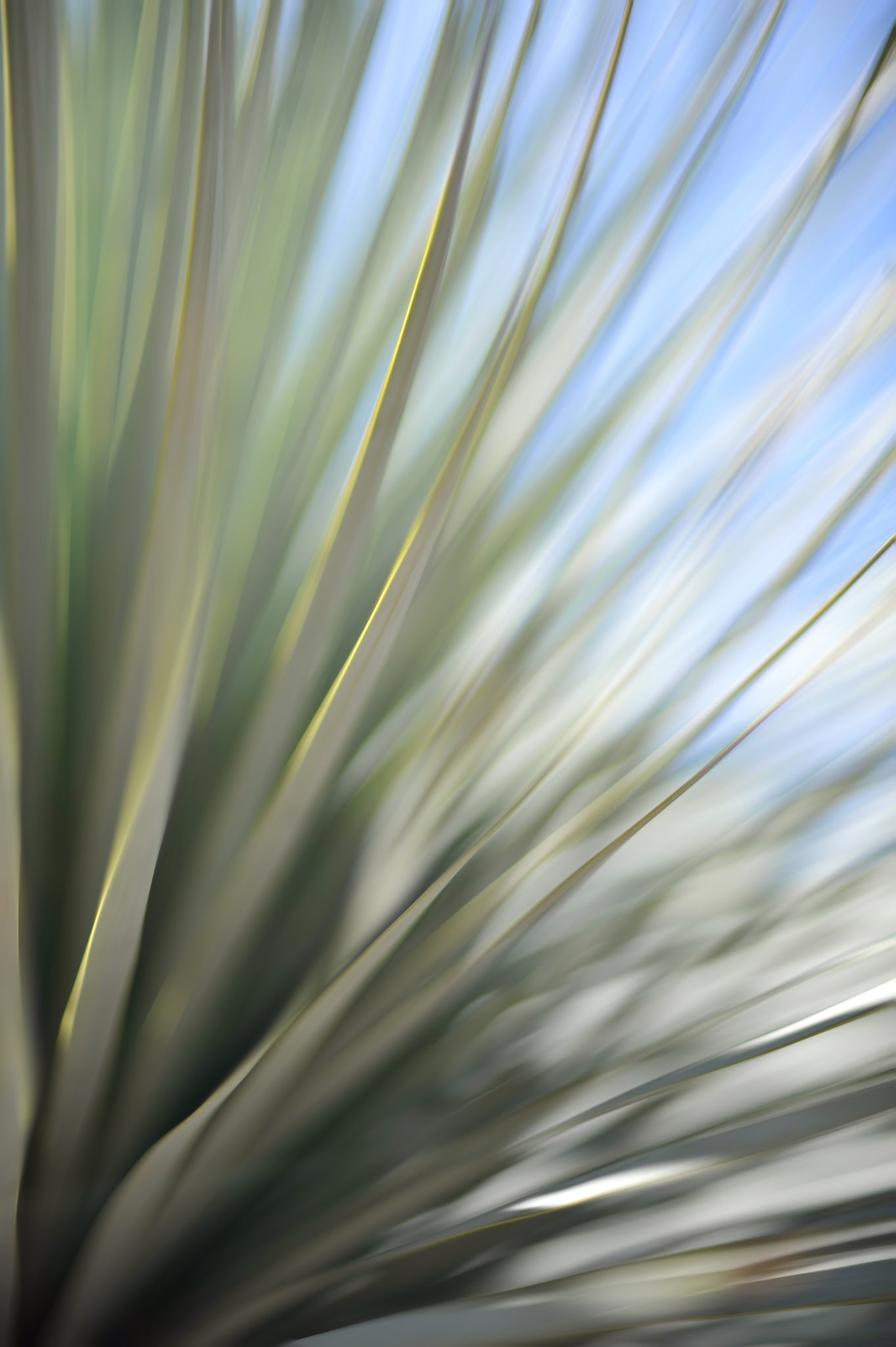Static and Motion, 2012-06-17-4381