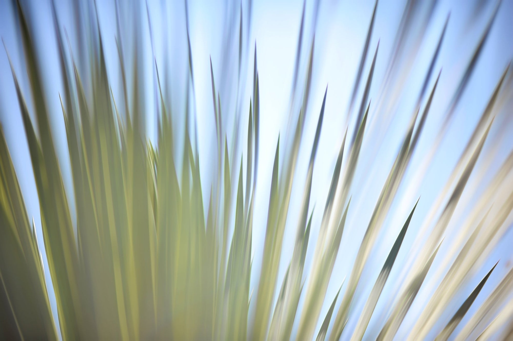 Static and Motion, 2012-06-17-4398