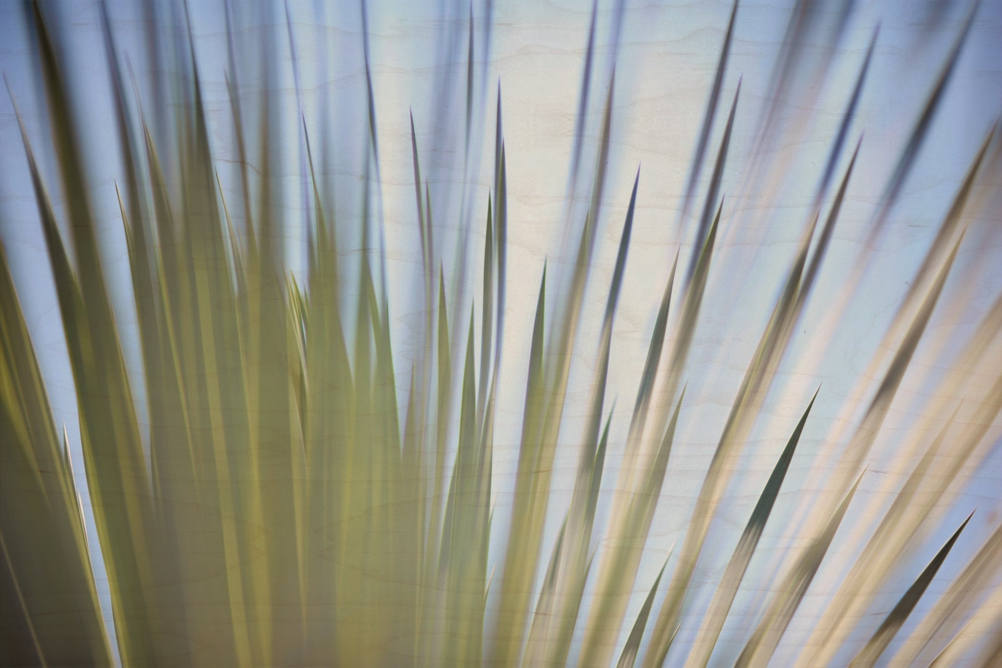 Static and Motion, 2012-06-17-4398