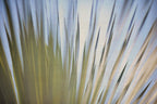 Static and Motion, 2012-06-17-4398