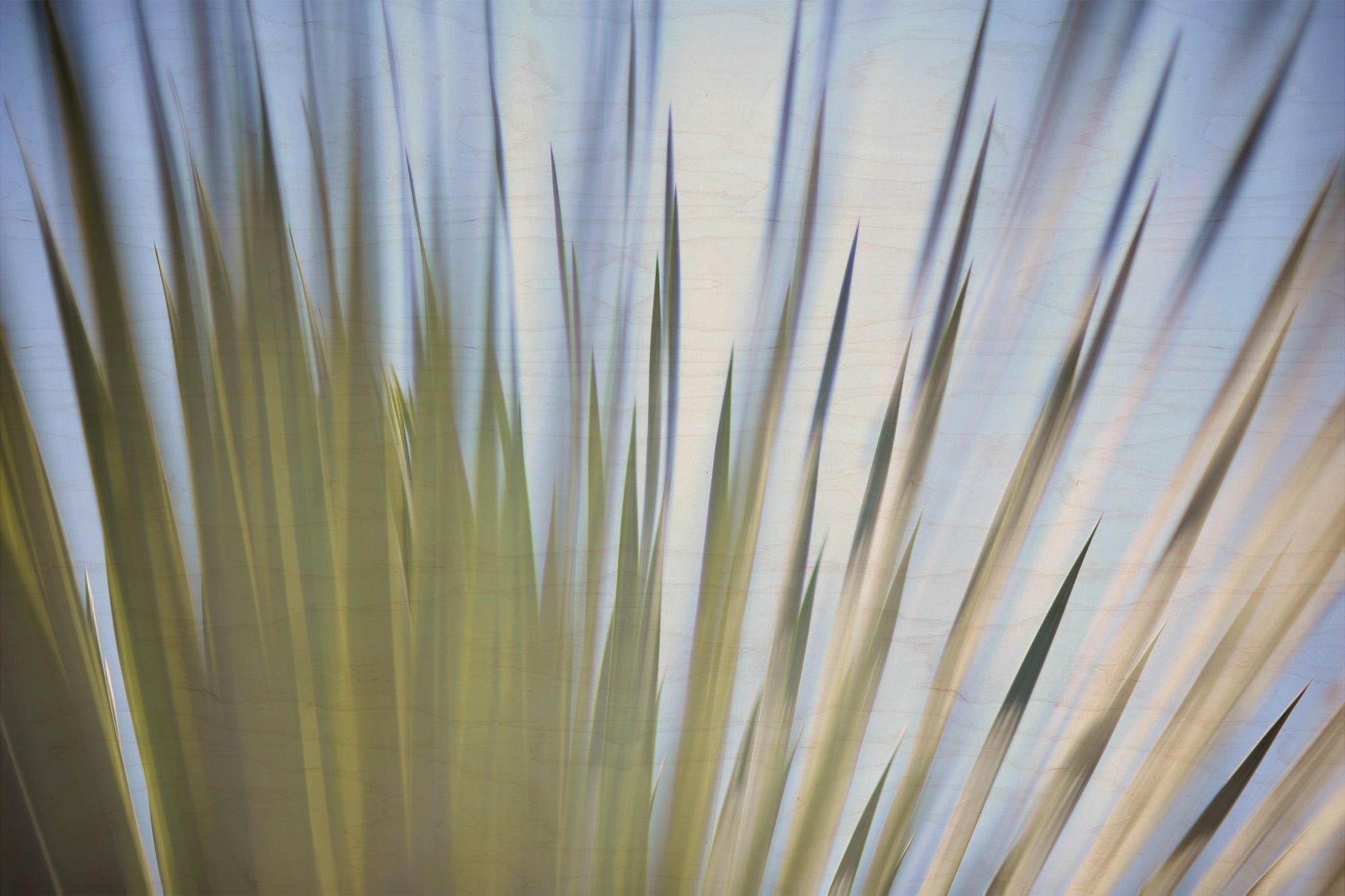 Static and Motion, 2012-06-17-4398
