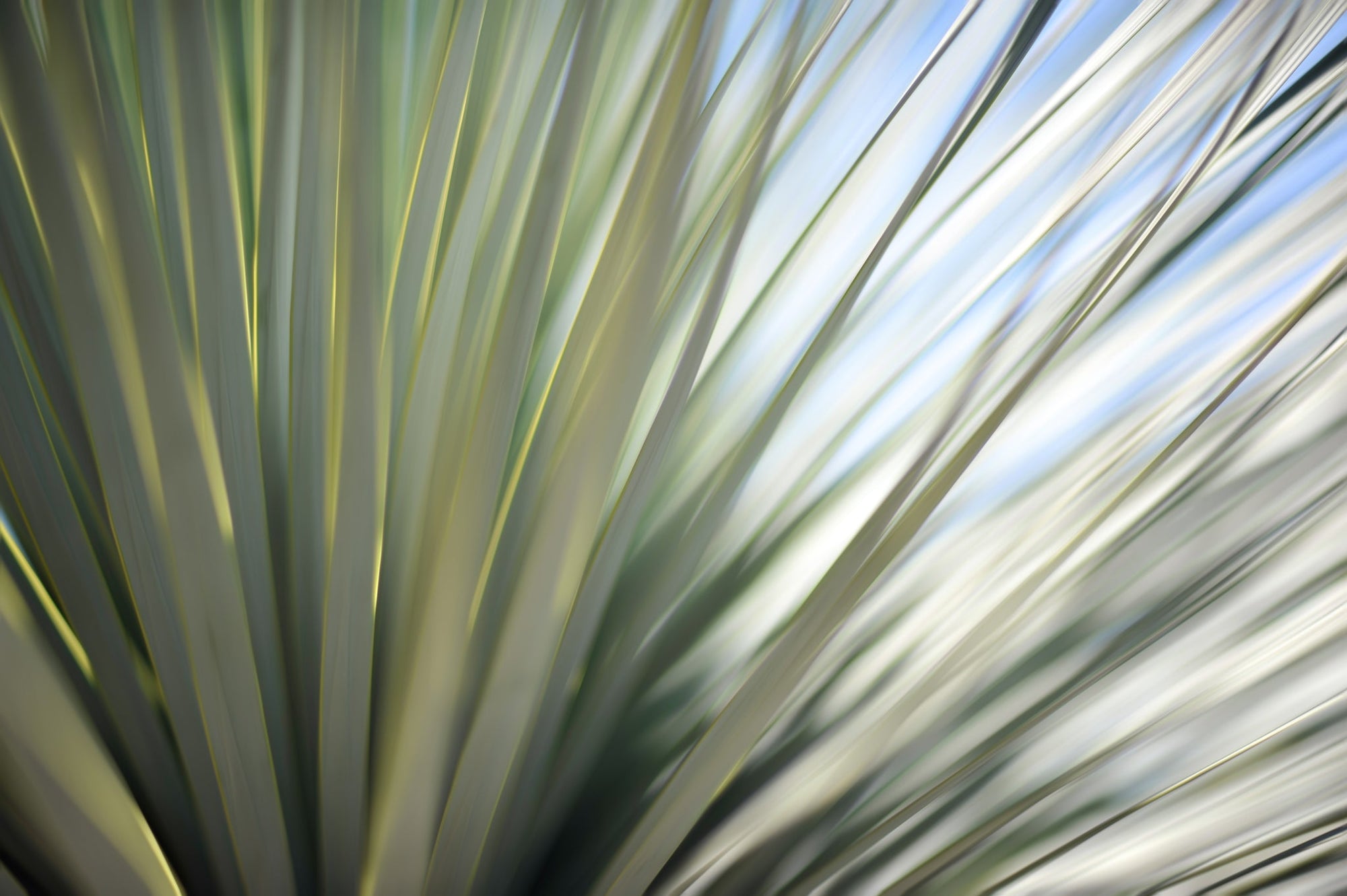 Static and Motion, 2012-06-17-4402