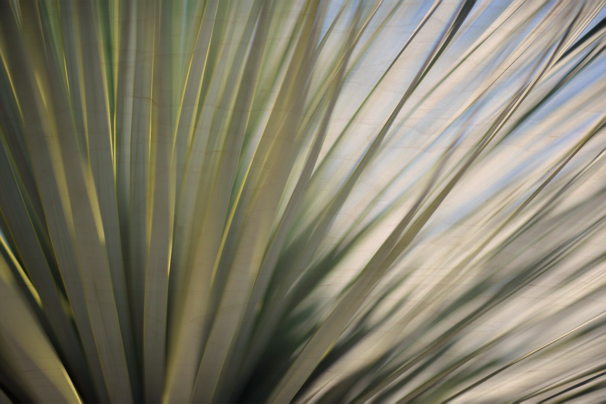 Static and Motion, 2012-06-17-4402
