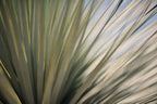 Static and Motion, 2012-06-17-4402