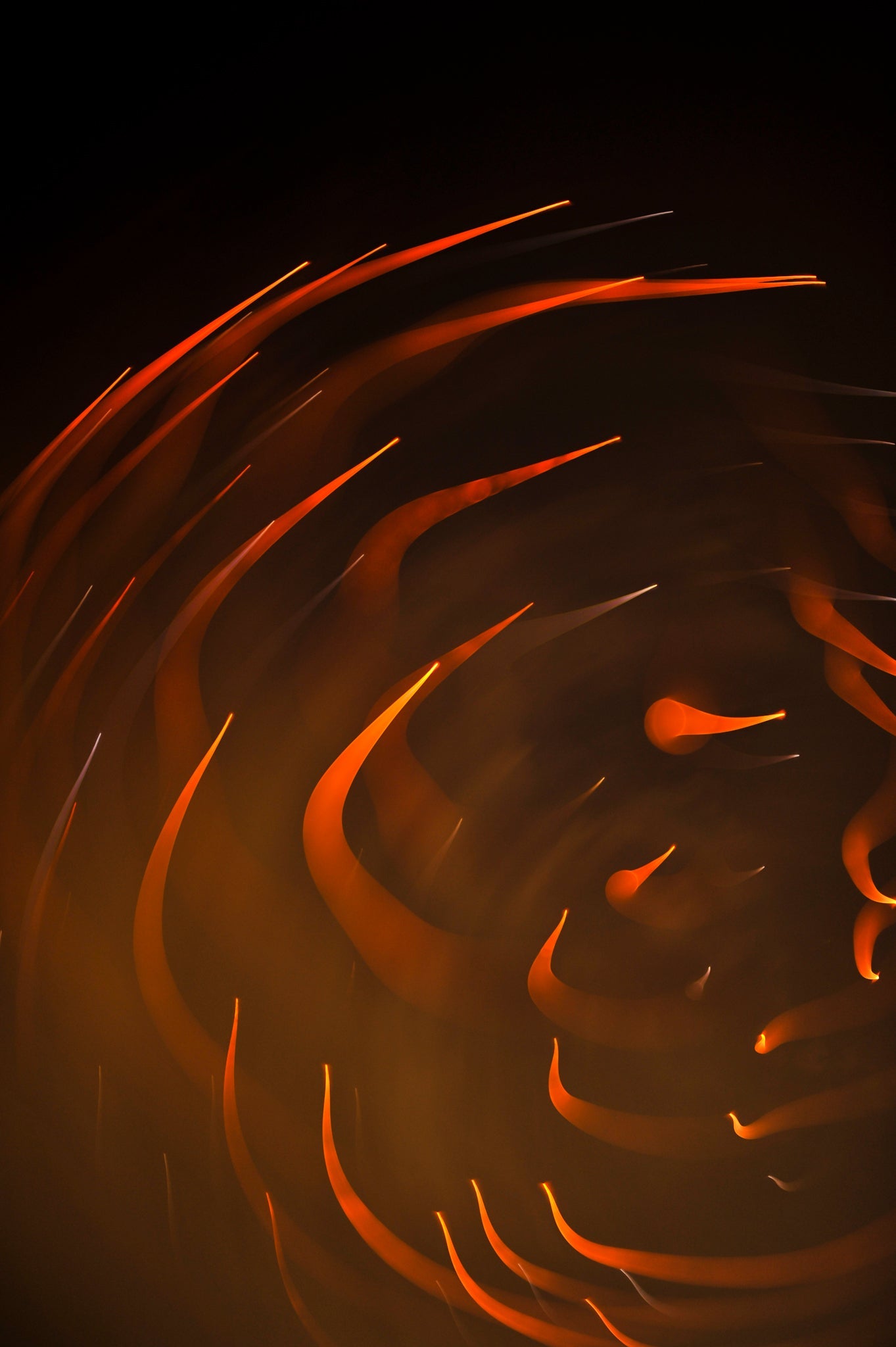 Flare and Flow, 2013-07-04-0013