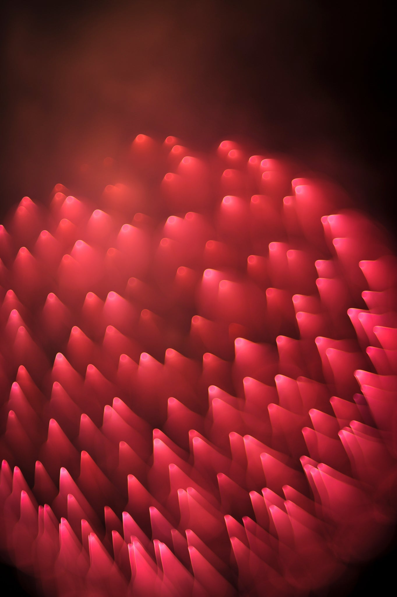 Flare and Flow, 2013-07-04-0019