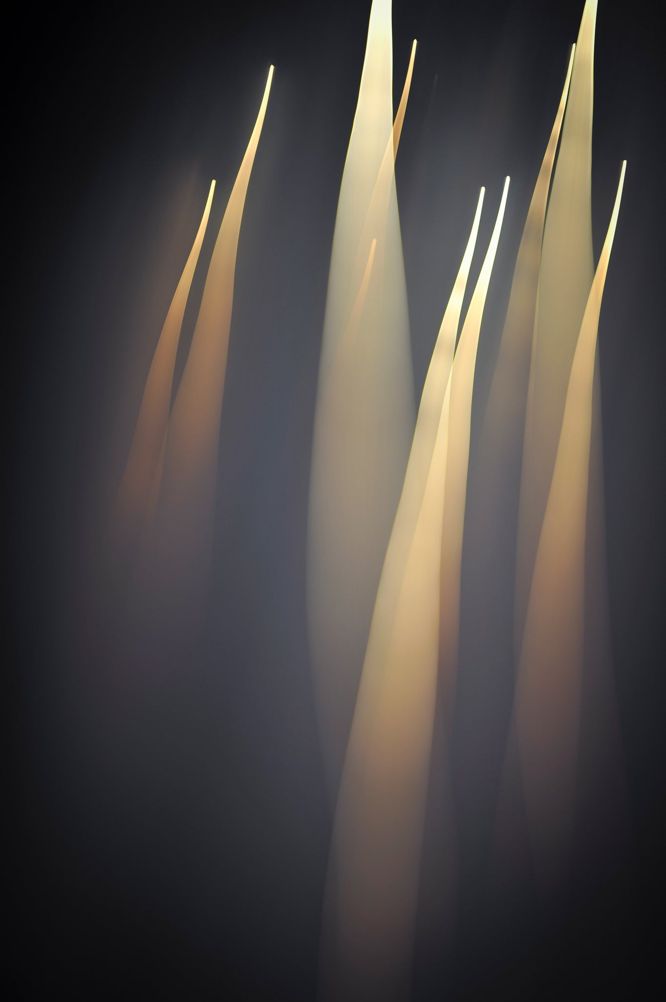 Flare and Flow, 2013-07-04-0040