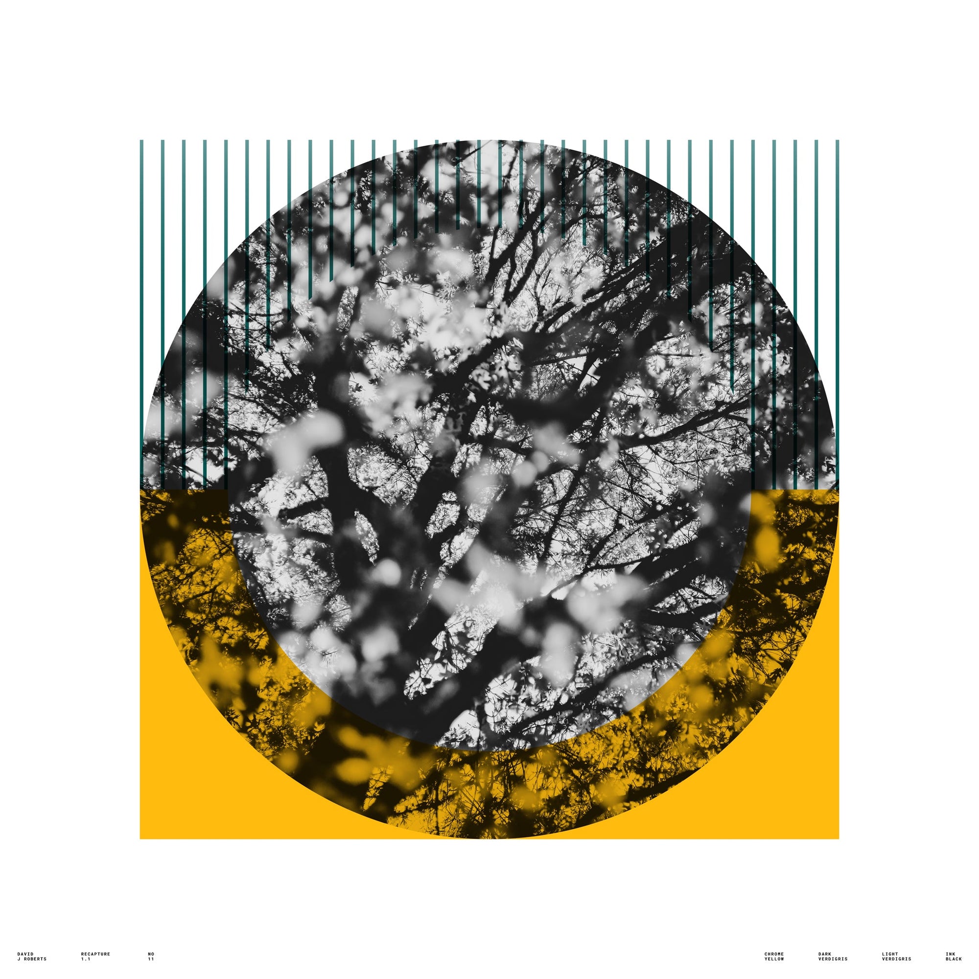 Recapture 1.1, No. 11