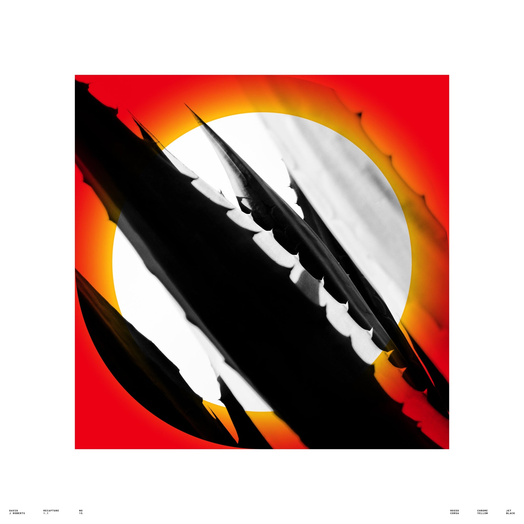 Recapture 1.1, No. 15