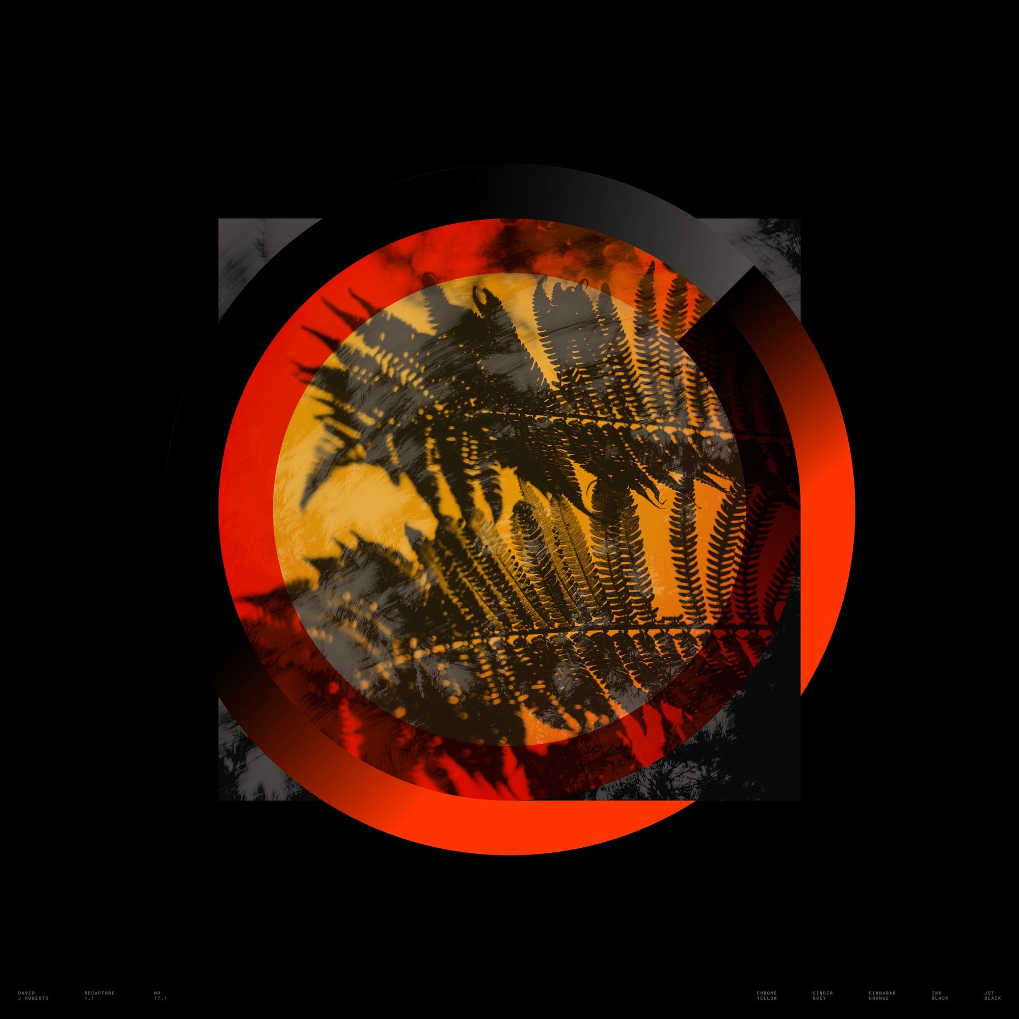 Recapture 1.1, No. 17.1
